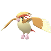 Buy Pidgeot in Brilliant Diamond & Shining Pearl